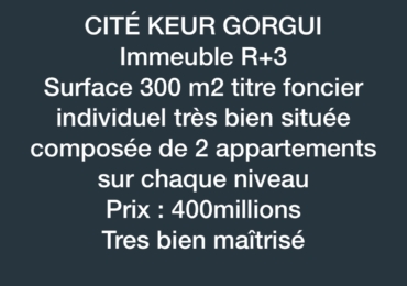 Immeuble R+3 à vendre