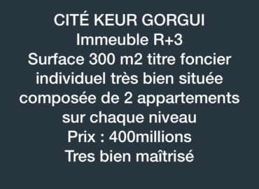 Immeuble R+3 à vendre