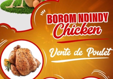 Poulet à vendre