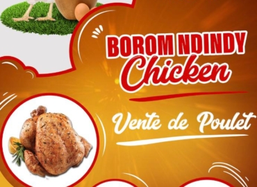 Poulet à vendre