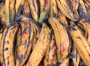 VENTE DE BANANE PLANTAIN