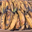 VENTE DE BANANE PLANTAIN