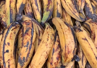 VENTE DE BANANE PLANTAIN