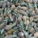 VENTE D’ANANAS