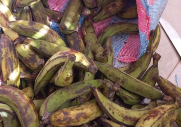 VENTE DE BANANE PLANTAIN