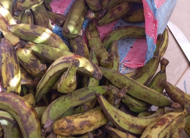 VENTE DE BANANE PLANTAIN