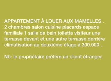 Appartement à louer aux Mamelles