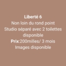 Studio à louer liberté 6