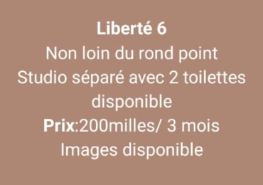 Studio à louer liberté 6