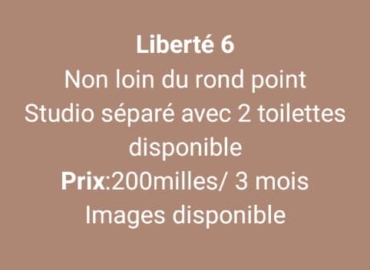 Studio à louer liberté 6