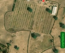 Ferme à vendre à thiadiaye