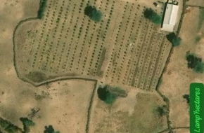 Ferme à vendre à thiadiaye