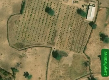 Ferme à vendre à thiadiaye