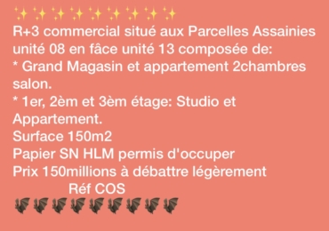 Immeuble R+3 à vendre