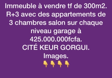 Immeuble à vendre