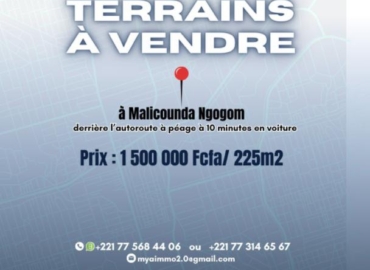 Terrains à vendre à Malicounda