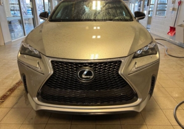 Lexus sport année 2015