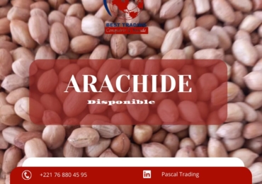 VENTE D’ARACHIDE