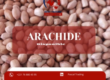 VENTE D’ARACHIDE