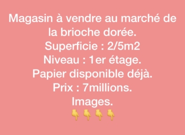 Magasin à vendre