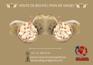 VENTE DE PAIN DE SINGE ( BOUYE )