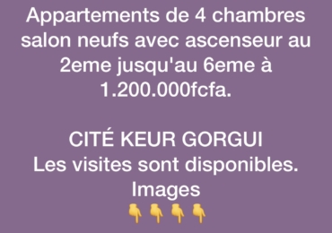 Appartement à louer