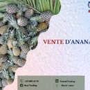 VENTE D’ANANAS