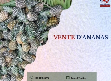 VENTE D’ANANAS