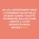 Appartement neuf à louer