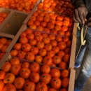 Fruits et légumes du Maroc en gros