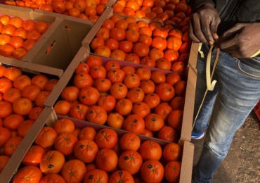 Fruits et légumes du Maroc en gros