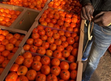 Fruits et légumes du Maroc en gros