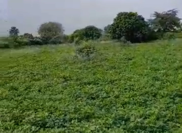Marie IMMO: terrain à Rafou Ndayanne