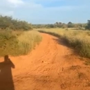 MARIE IMMO : parcelle à vendre à Diass