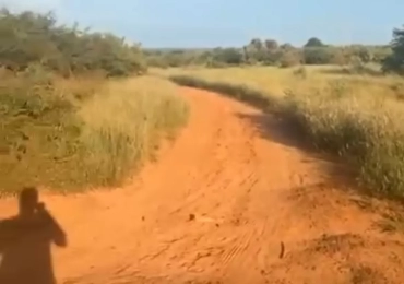 MARIE IMMO : parcelle à vendre à Diass