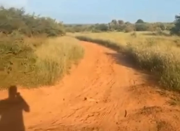 MARIE IMMO : parcelle à vendre à Diass