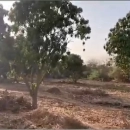 MARIE IMMO : champs à vendre