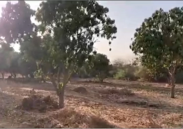 MARIE IMMO : champs à vendre