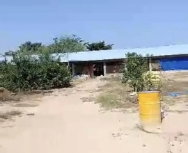 MARIE IMMO : parcelle notto gouye diaman