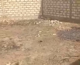 MARIE IMMO : terrain à vendre sur Saly