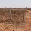 MARIE IMMO : terrain à vendre à Diass