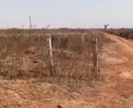 MARIE IMMO : terrain à vendre à Diass