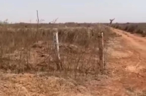 MARIE IMMO : terrain à vendre à Diass