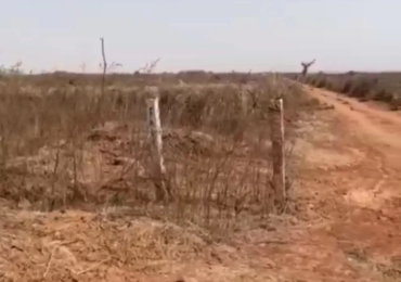 MARIE IMMO : terrain à vendre à Diass