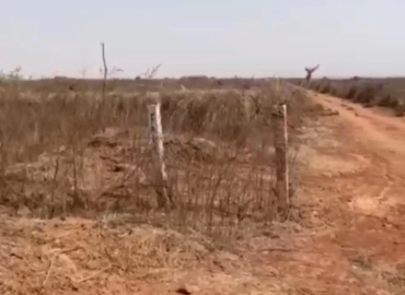 MARIE IMMO : terrain à vendre à Diass