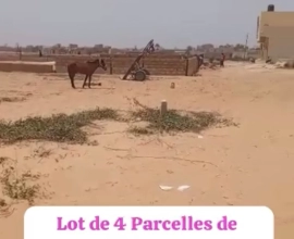 Lot de parcelles à vendre à Niagues