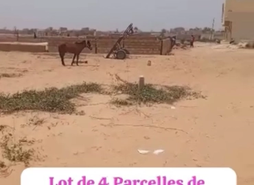 Lot de parcelles à vendre à Niagues