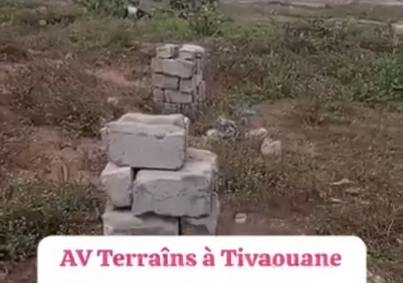 Terrain à vendre à Tivaouane peulh
