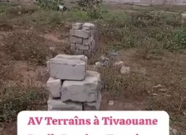 Terrain à vendre à Tivaouane peulh