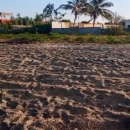 MARIE IMMO : un hectare à Guereo